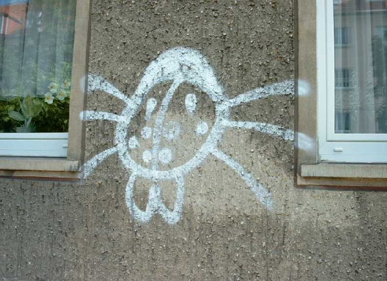 Graffiti zwischen zwei Fenster auf einer Hauswand