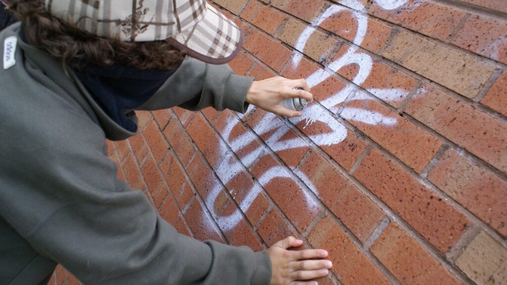 street crime, urban vandalism